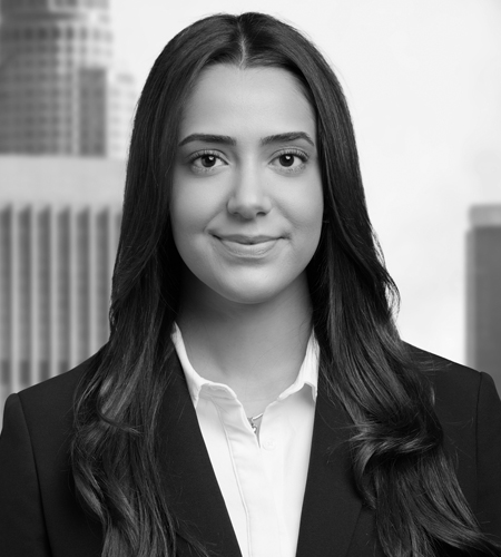 Photo of Nareh Nikolaian